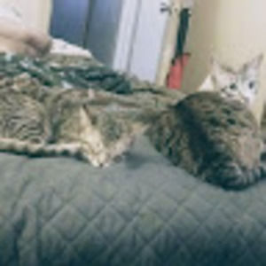 Meet your Posher, Heidi